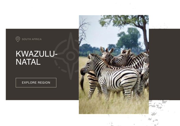 kzn