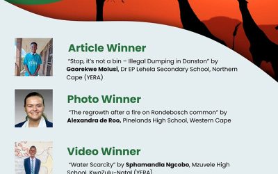 Winners of the latest YRE competition announced