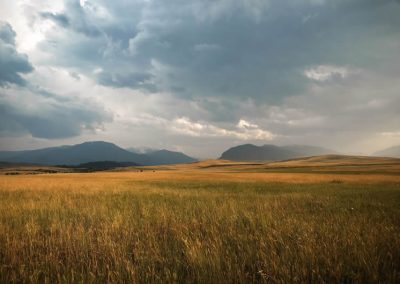 grasslands