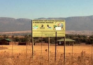 Nyoka Ridge Vulture Hide