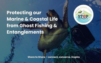‘Stop the Strangle’: a spotlight on ghost fishing and marine entanglement