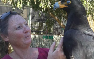 WESSA welcomes new Education Centres manager Kristi Garland
