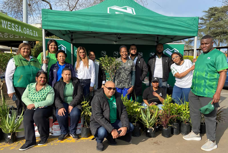 Northdale Hospital greening