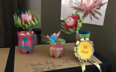 Upcycling Competition: Cape Recife High School Design Challenge