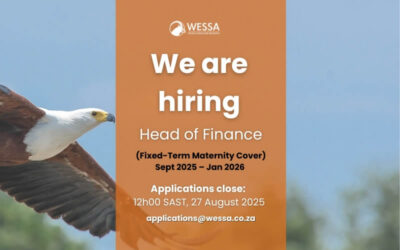 Join our Team: Head of Finance (Fixed-term maternity cover) Vacancy at WESSA