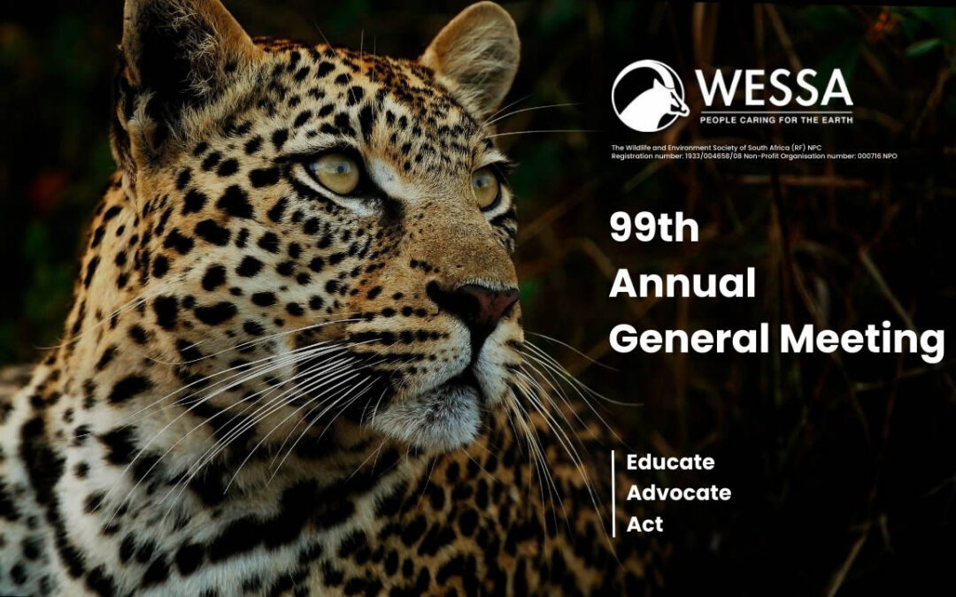 WESSA 99th AGM report back