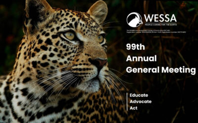 WESSA 99th AGM report back