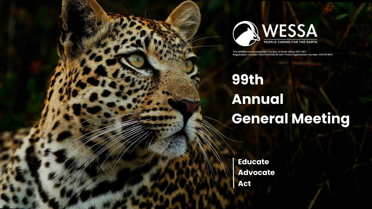 99th AGM