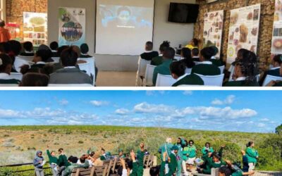 ‘The Last Ranger’ film inspires the next generation at Addo Elephant National Park