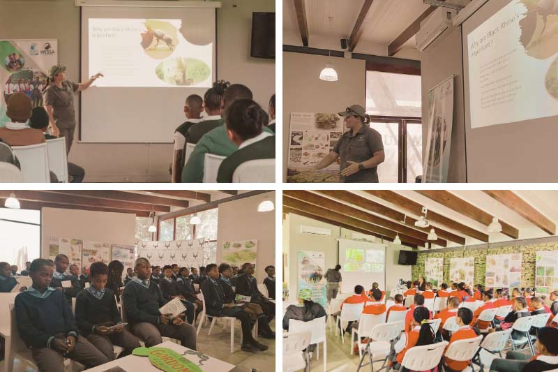 Rhino awareness talk