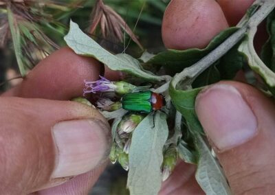 WESSA Lowveld Bosberaad