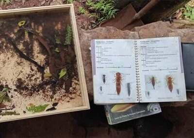 WESSA Lowveld Bosberaad