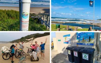 Stronger Shores, Cleaner Seas: WESSA’s Coastal Programme in Action