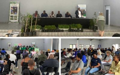 International Day of Climate Action with the uMgubandlala Wetlands Project