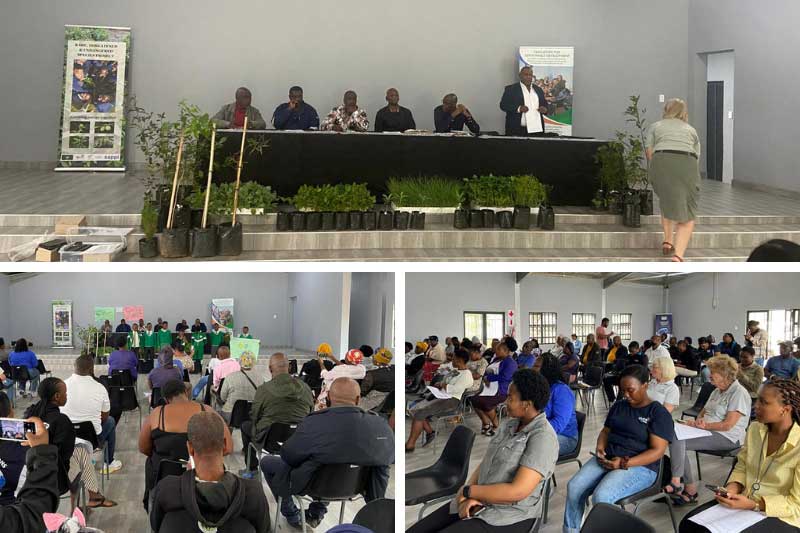 International Day of Climate Action with the uMgubandlala Wetlands Project