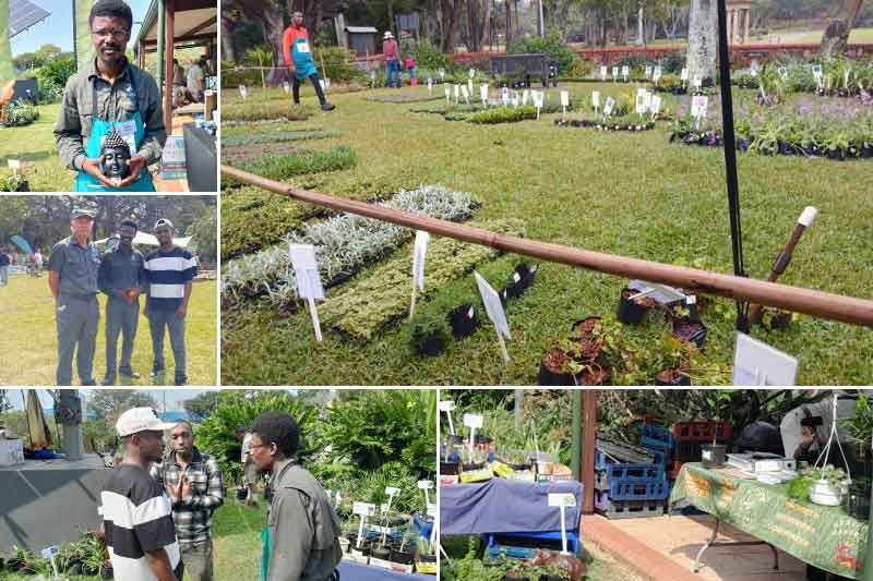 Plant fair