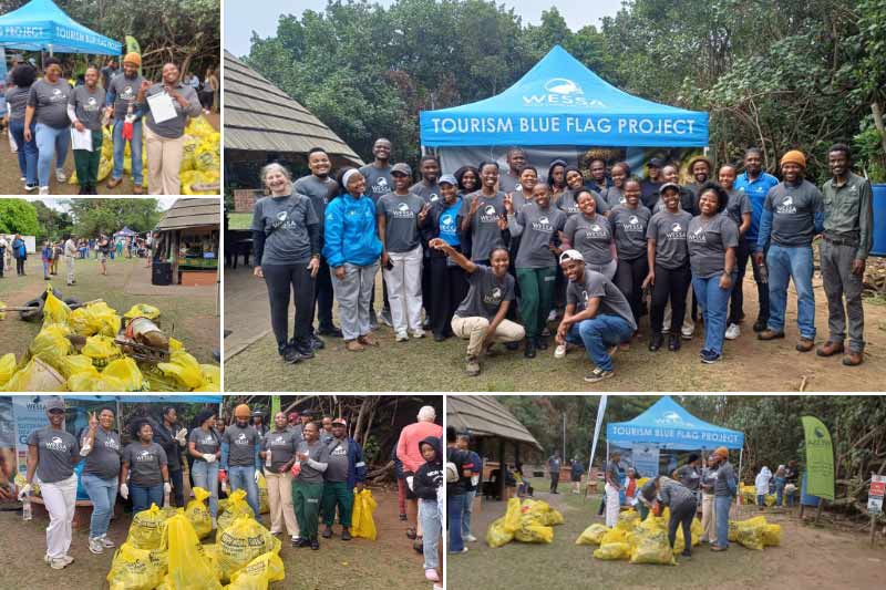 Coastal clean up