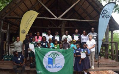 [WESSA Eco-Schools Programme] Six Schools awarded Bronze across Zambia and Zimbabwe
