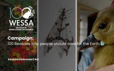 100 Reasons to Care: November’s WESSA 100 Highlights