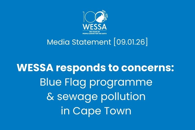 Blue Flag concerns