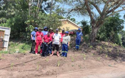 Green Rising Project: Communities take action to restore ecosystems