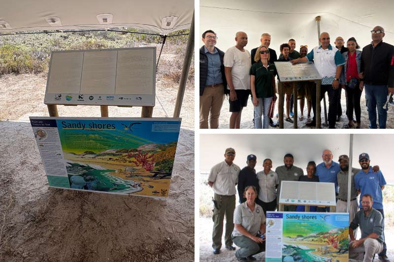 braille signage event