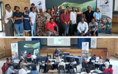 Glencore Circular Economy Project: Teachers reflect, reset and expand Impact