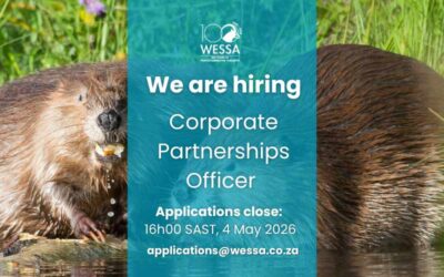 Join our Team: Corporate Partnerships Officer