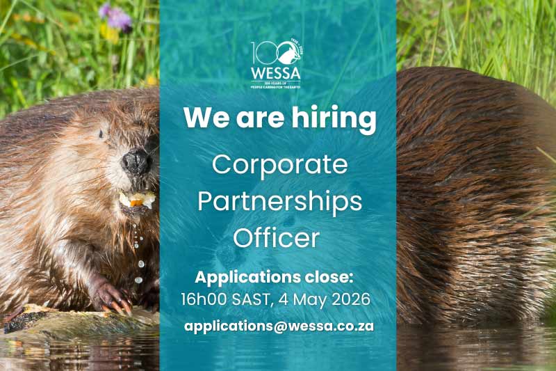 Join our Team: Corporate Partnerships Officer