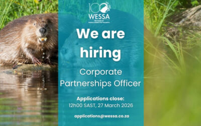 Join our Team: Corporate Partnerships Officer