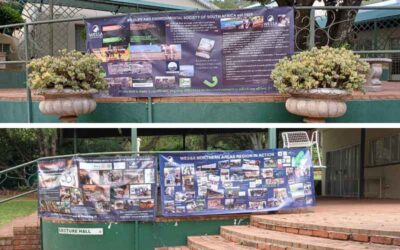 Conservation insights from the Magaliesberg Biosphere