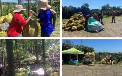 [KZN region] Youth-led action through the Green Rising Project