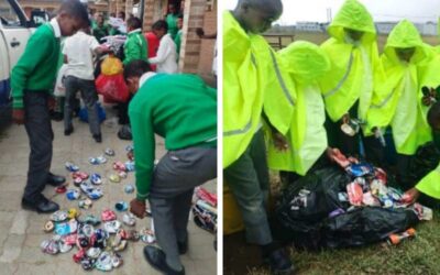 Empowering learners through circular economy thinking (Nedbank X WESSA)