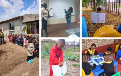 [N3TC Schools] Bringing biodiversity to life in Free State classrooms