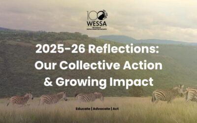 Financial year end message from WESSA chairperson and CEO