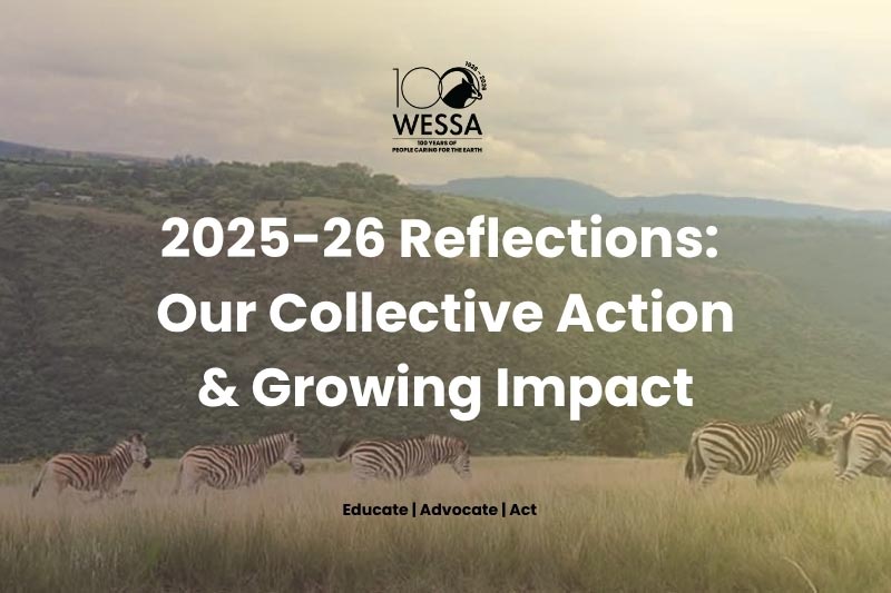 Financial year end message from WESSA chairperson and CEO
