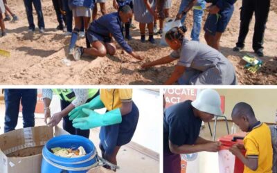 Clean Air Fund Project: Connecting Waste and Air Pollution in Marapong, Limpopo
