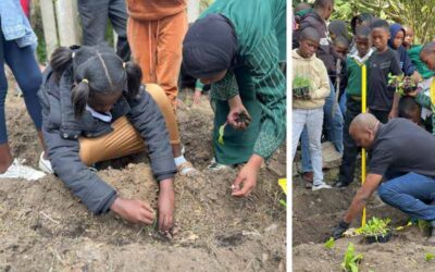 Clean Air Fund Project: Practical Solutions Take Root in eMalahleni, Mpumalanga