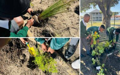 Western Cape: Langa High School’s Eco Club plants more than 20 indigenous trees (Earth Day)