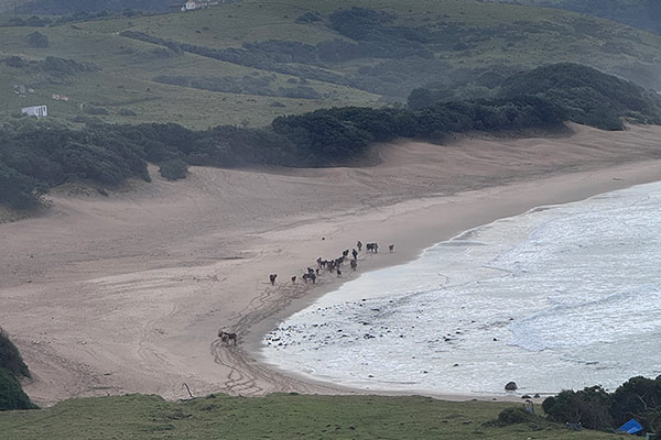 Cwebe Beach