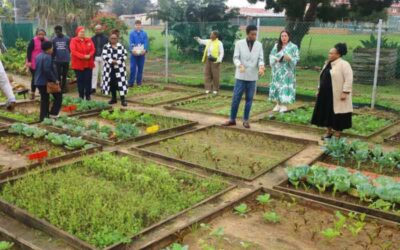 Nelson Mandela Bay school gardens grow skills, nutrition and climate resilience