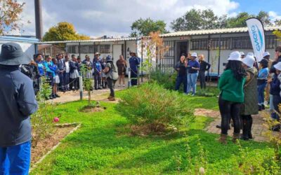 Engie Partnership: Growing Biodiversity at Sedi-Laka Primary School