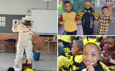 ADvTECH Schools celebrate World Bee Day through learning and creativity