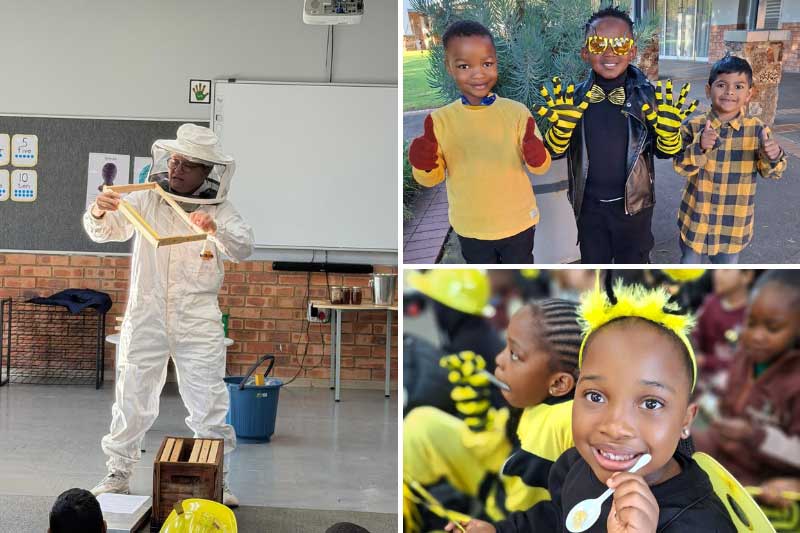 ADvTECH Schools celebrate World Bee Day through learning and creativity