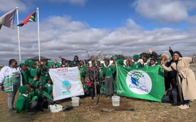 Learners explore how everyday actions can support a circular economy