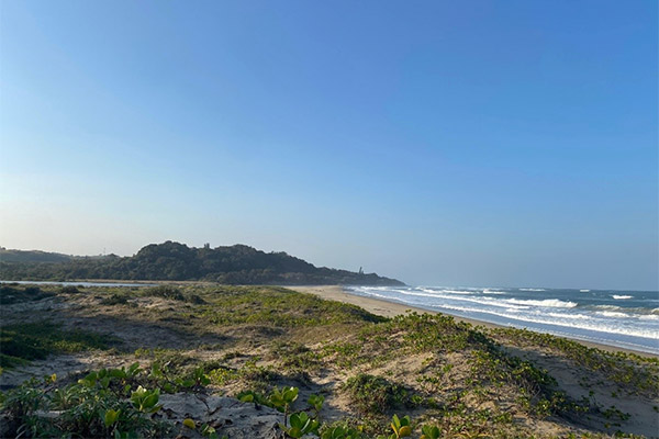 Trafalgar Marine Reserve
