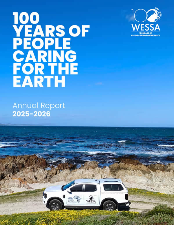 Annual Report 2025/26