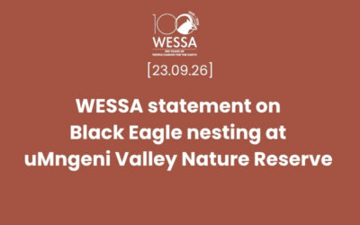 WESSA statement on Black Eagle nesting at uMngeni Valley Nature Reserve