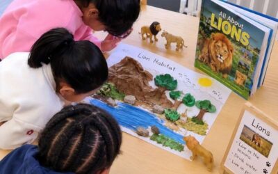 [ADvTECH Schools] Wildlife learning sparks curiosity and nurtures environmental responsibility