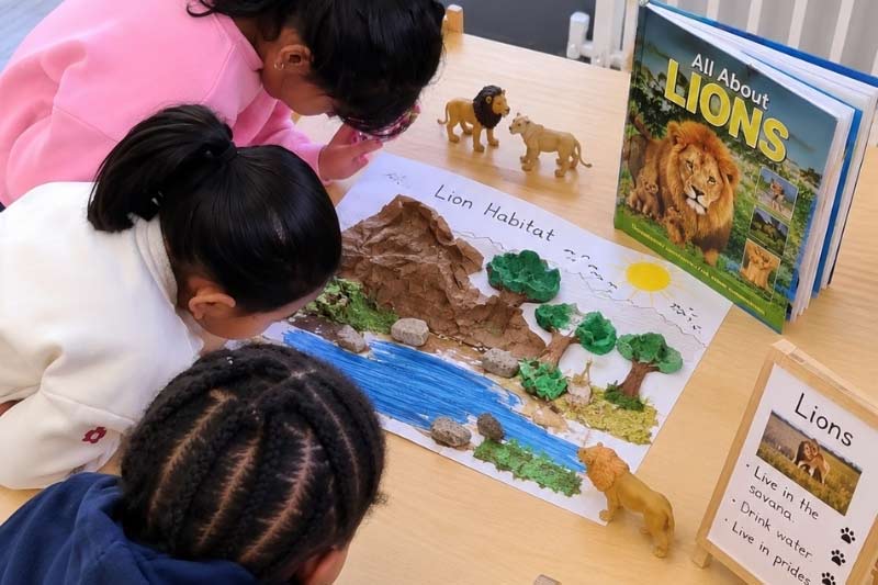 World Lion Day